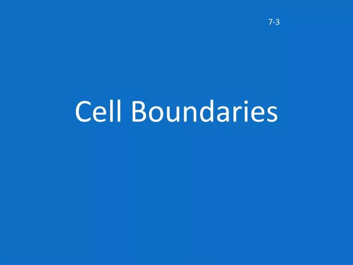 cell boundaries