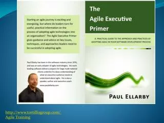 The Agile Executive Primer