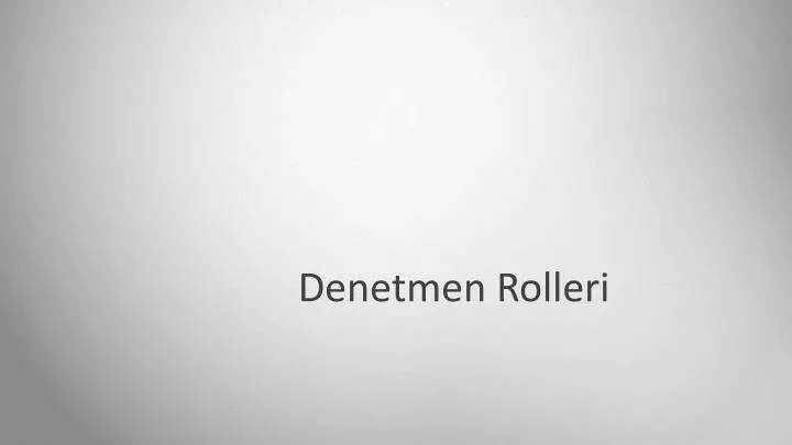 denetmen rolleri