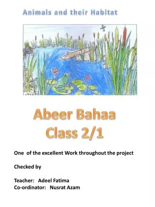 Abeer Bahaa Class 2/1
