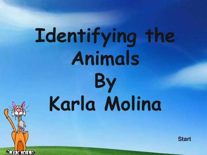 identifying the animals by karla molina