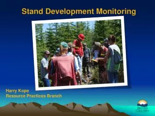 Stand Development Monitoring