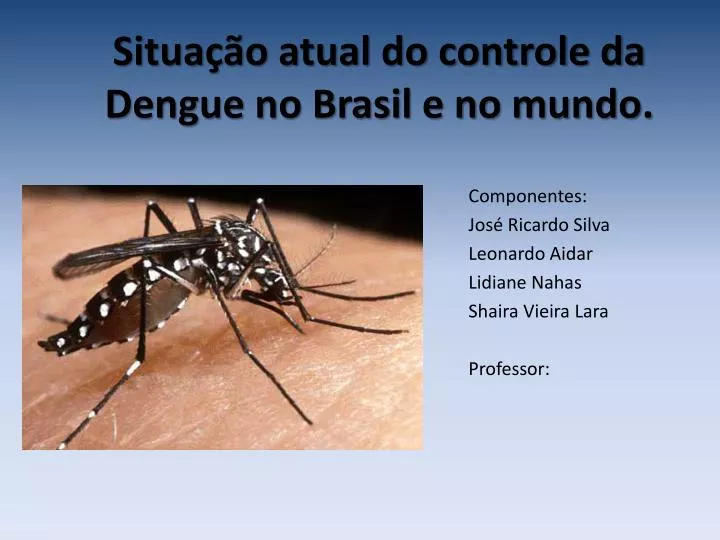 situa o atual do controle da dengue no brasil e no mundo