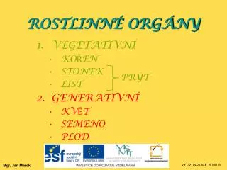 rostlinn org ny