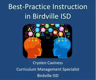 Best-Practice Instruction in Birdville ISD