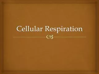 Cellular Respiration