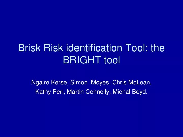 brisk risk identification tool the bright tool