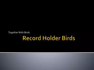 Record Holder Birds