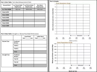 Part 1 Data Table : Finch Beak Measurement Chart
