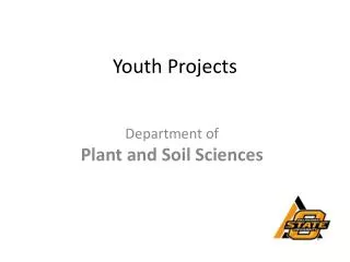 Youth Projects