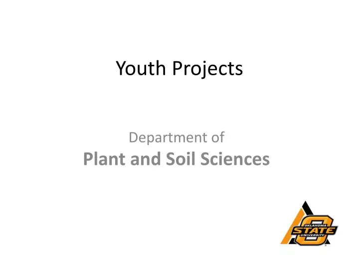 youth projects