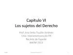 Capítulo VI Los sujetos del Derecho