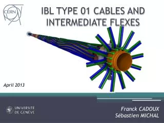 IBL TYPE 01 CABLES AND INTERMEDIATE FLEXES