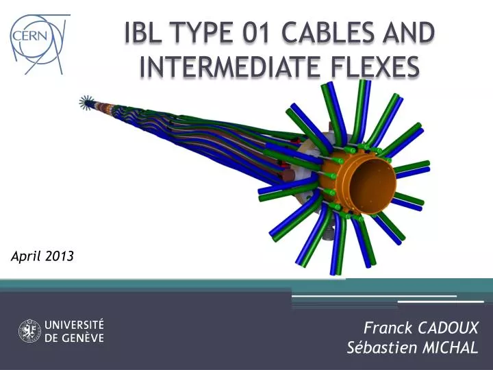 ibl type 01 cables and intermediate flexes