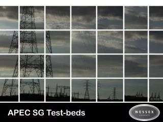 APEC SG Test-beds
