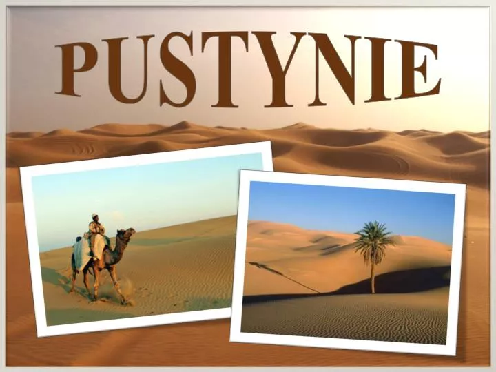 pustynie