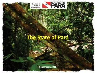 the state of par