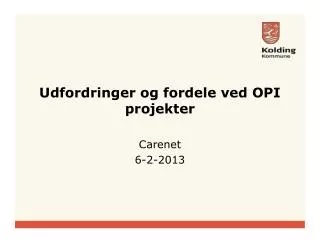 udfordringer og fordele ved opi projekter