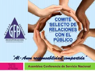 comit selecto de relaciones con el p blico