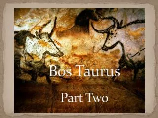 Bos Taurus Part Two