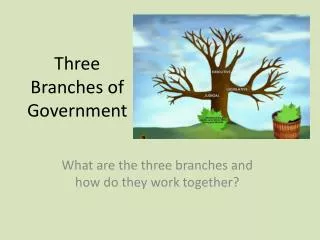 Three Branches of Government