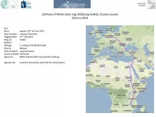 LifeTrack of White Stork ,tag 3020(ring HL462), Ciconia ciconia 2013 to 2014