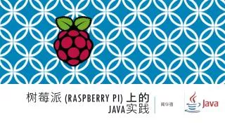 raspberry pi java