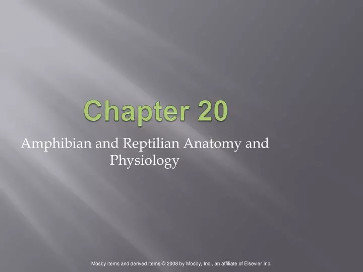 amphibian and reptilian anatomy and physiology