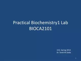Practical Biochemistry1 Lab BIOCA2101