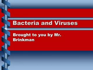 Bacteria and Viruses