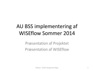 au bss implementering af wiseflow sommer 2014