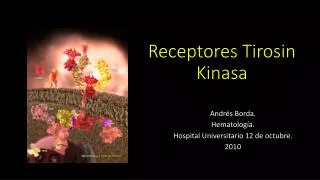 receptores t irosin kinasa