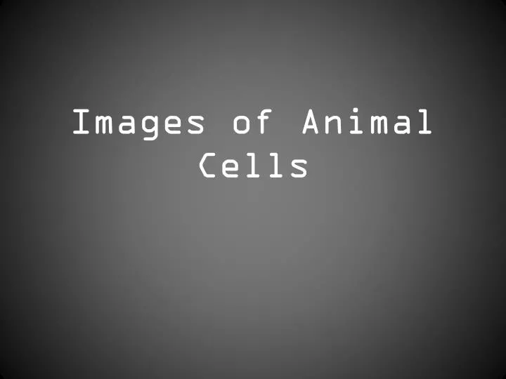images of animal cells