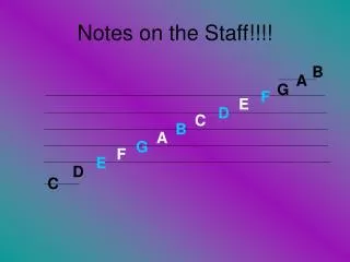 Notes on the Staff!!!!