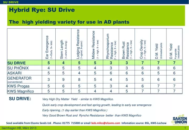 hybrid rye su drive the high yielding variety for use in ad plants