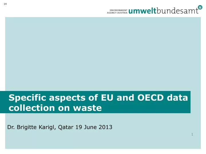 specific aspects of eu and oecd data collection on waste