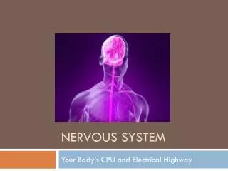 Nervous system