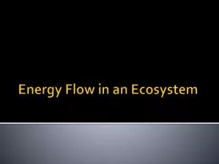 Energy Flow in an Ecosystem