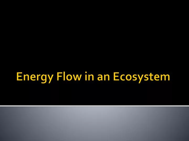 energy flow in an ecosystem