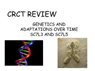 CRCT REVIEW