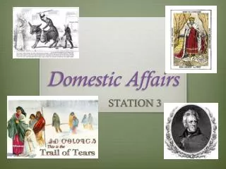 domestic affairs