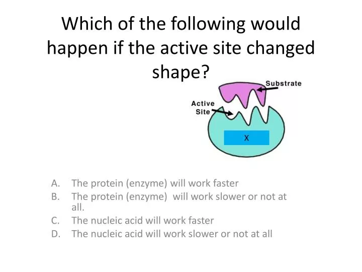 which of the following would happen if the active site changed shape