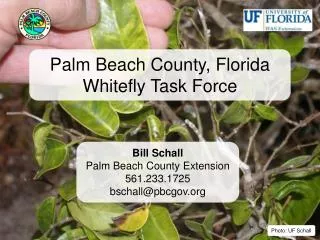Palm Beach County, Florida Whitefly Task Force