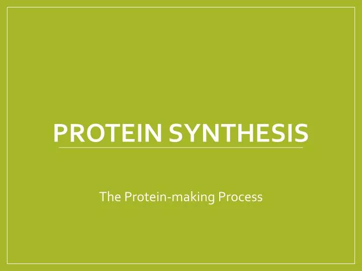 protein synthesis