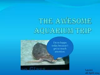 The Awesome Aquarium Trip
