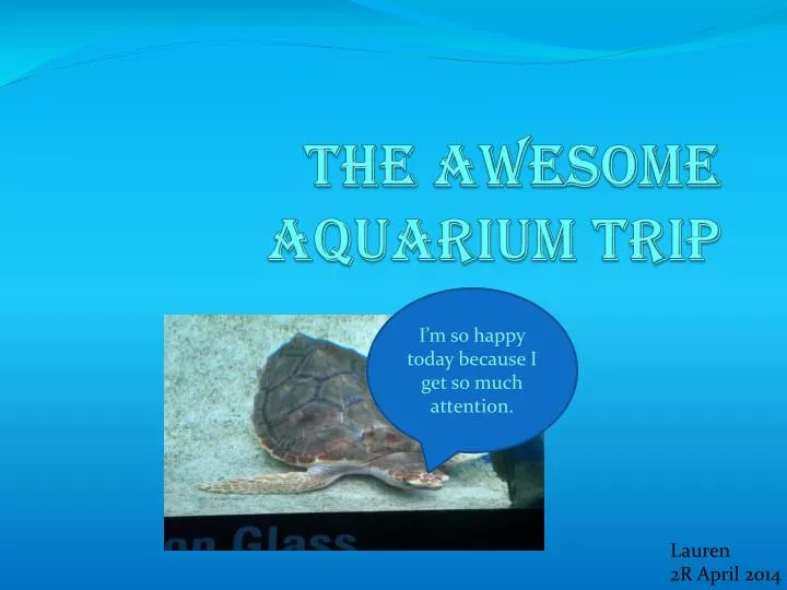 the awesome aquarium trip