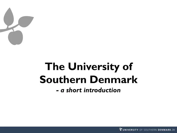 the university of southern denmark a short introduction