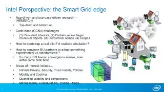 Intel Perspective: the Smart Grid edge