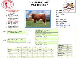 LOT 122: BMH120050 BM JORGHI 09-50 P