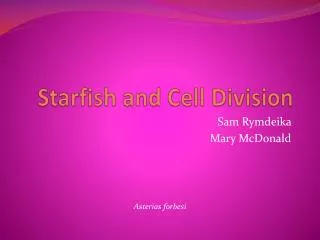 Starfish and Cell Division